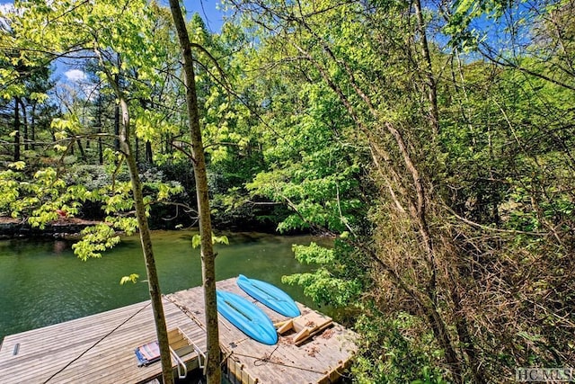 view of dock with a water view