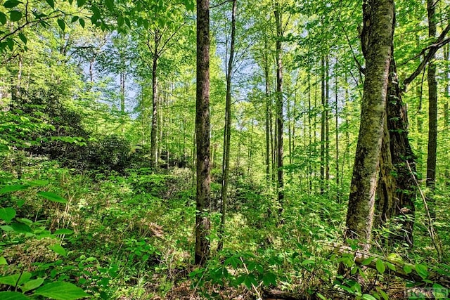 view of landscape