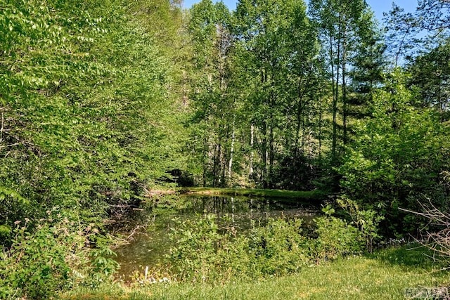 view of local wilderness with a water view