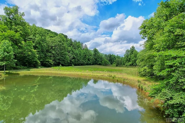 1222 Shope Rd, Otto, NC 28763 - water view featuring a heavily wooded area