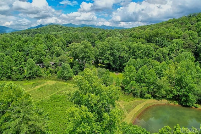 1222 Shope Rd, Otto, NC 28763 - aerial view of a water and mountain view and a forest