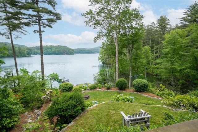 421 Easter Ln, Cullowhee, NC 28723 - water view featuring a heavily wooded area