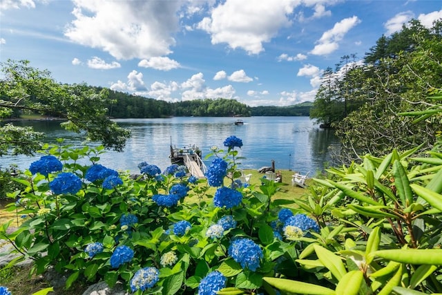 421 Easter Ln, Cullowhee, NC 28723 - water view featuring a heavily wooded area