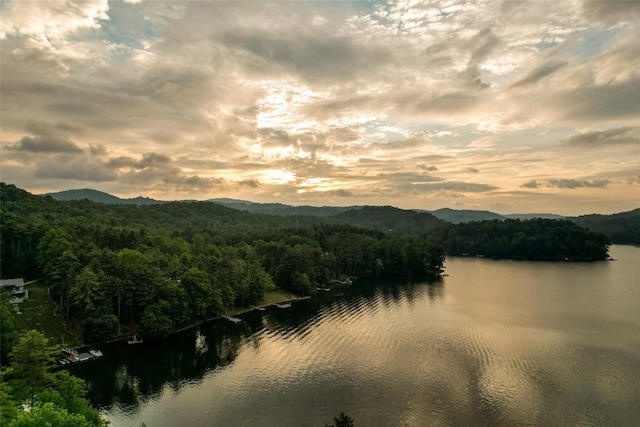 421 Easter Ln, Cullowhee, NC 28723 - water view featuring a heavily wooded area and a mountainous background