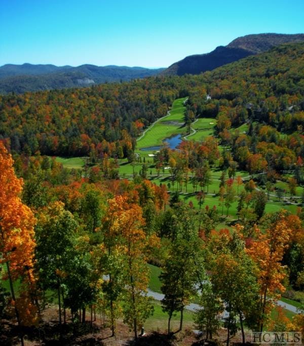 drone / aerial view featuring a mountain view