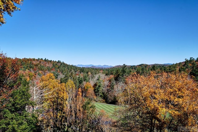 view of mountain feature