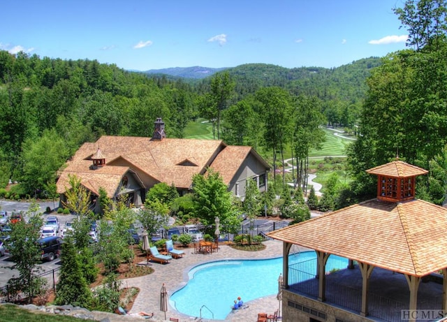 view of pool with a patio