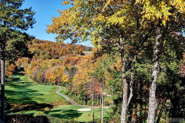 view of property's community featuring a lawn