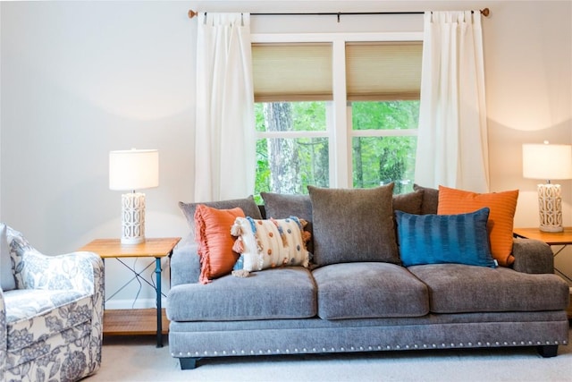 110 Kestrel Ct, Sapphire, NC 28774 - view of living room
