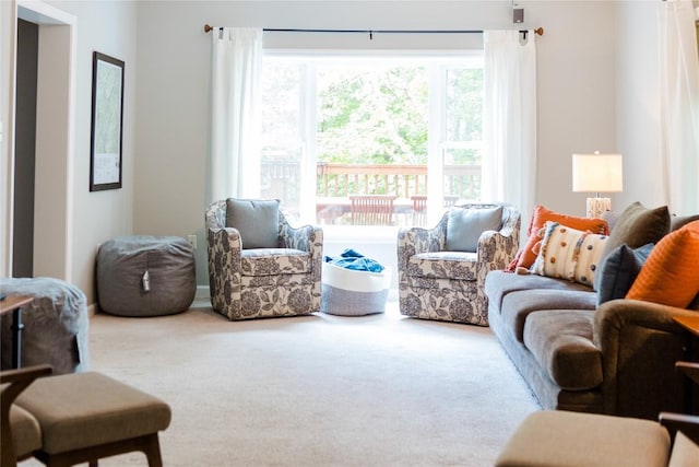 110 Kestrel Ct, Sapphire, NC 28774 - view of carpeted living area