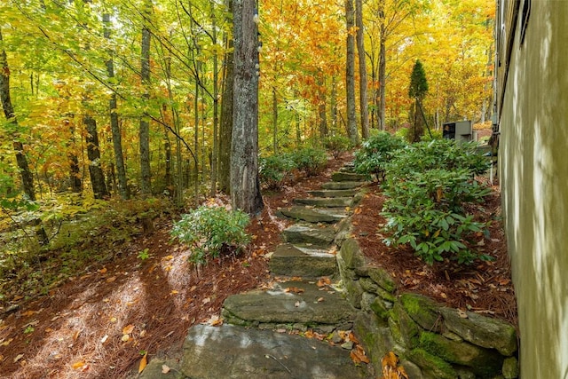 110 Kestrel Ct, Sapphire, NC 28774 - view of yard featuring a forest view