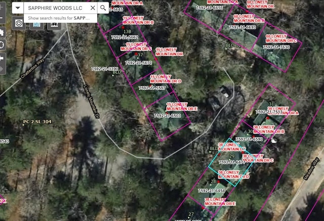 38 Lonely Mountain Dr Unit 24C, Sapphire, NC 28774 - aerial overview of property's location featuring property boundaries highlighted