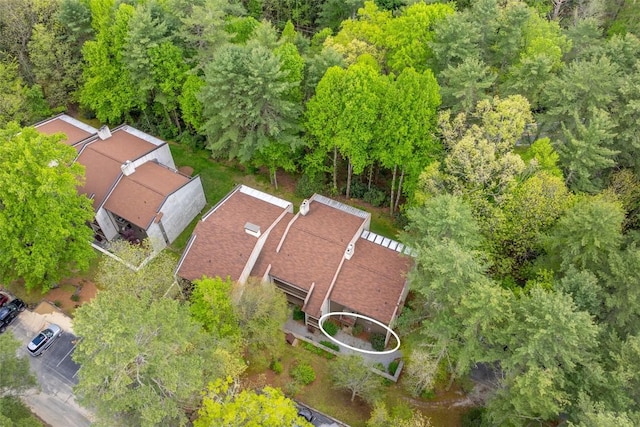 aerial view
