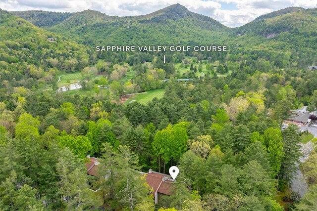 birds eye view of property with a mountain view and a wooded view