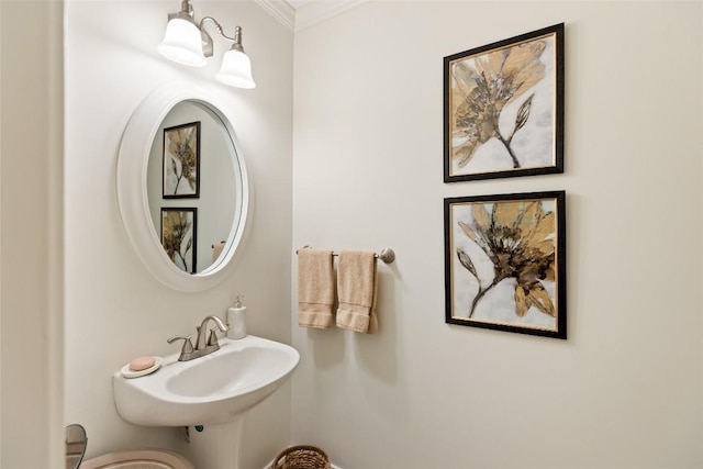 bathroom featuring ornamental molding and a sink