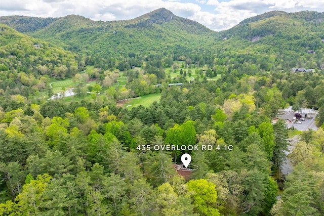 birds eye view of property with a mountain view and a wooded view