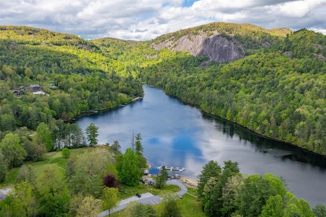 drone / aerial view featuring a wooded view and a water and mountain view