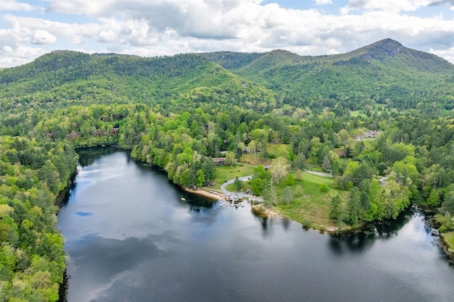 birds eye view of property featuring a forest view and a water and mountain view