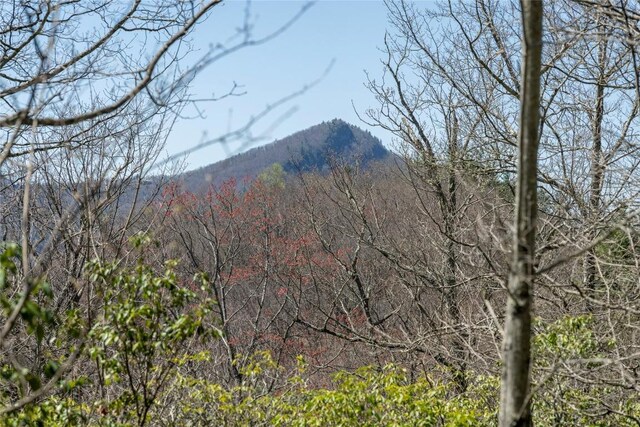 3 Big Granite Ct, Sapphire, NC 28774