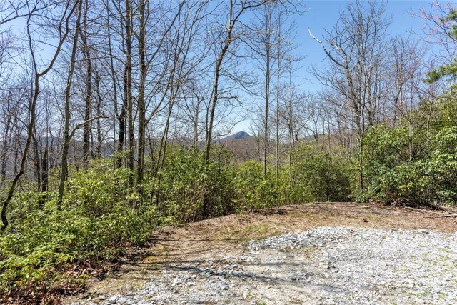 3 Big Granite Ct, Sapphire, NC 28774