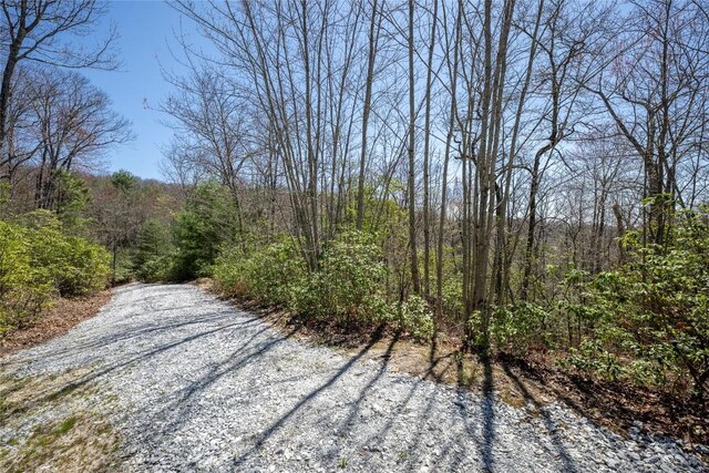 3 Big Granite Ct, Sapphire, NC 28774
