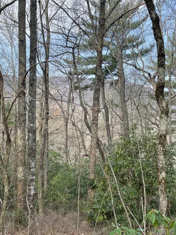 none Cherokee Circle, Lake Toxaway NC, 28747 land for sale