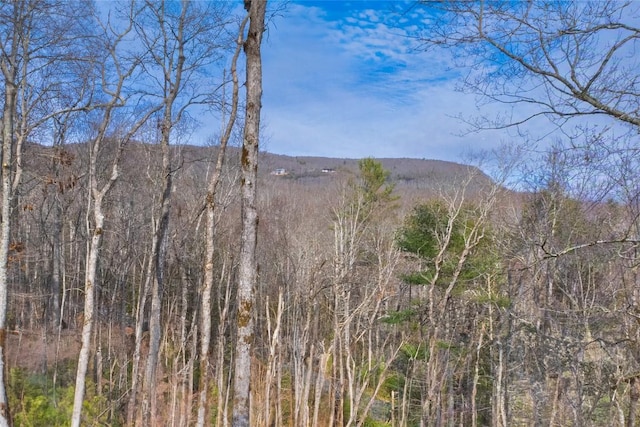 view of mountain feature with a view of trees