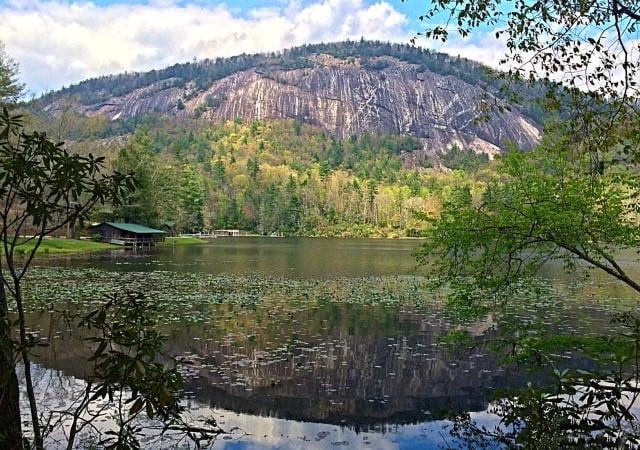 view of mountain feature featuring a water view and a forest view