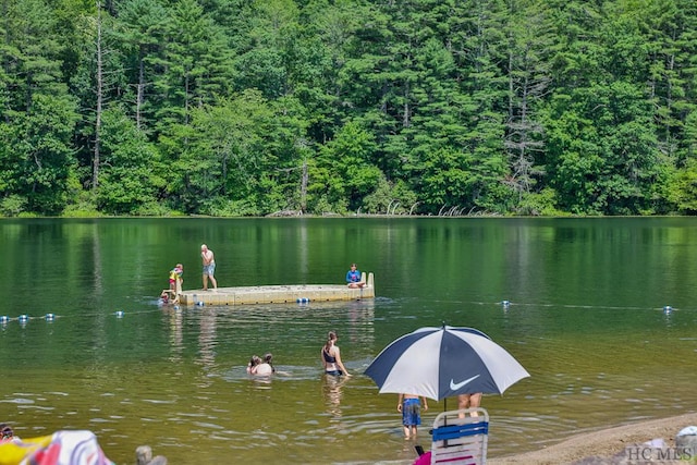 dock area featuring a water view