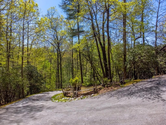 view of street featuring a wooded view