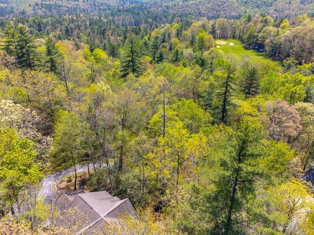 drone / aerial view of a heavily wooded area