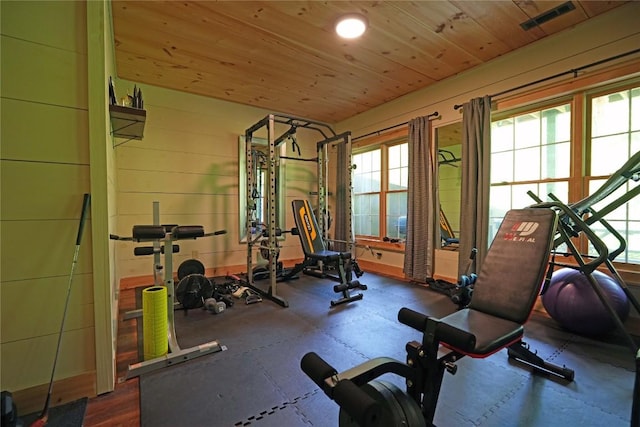 44 Rocky Knob Ln, Scaly Mountain, NC 28775 - workout room featuring wooden ceiling
