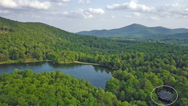 44 Rocky Knob Ln, Scaly Mountain, NC 28775 - drone / aerial view of a forest and a water and mountain view