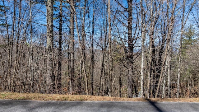 Listing photo 3 for 10 Channel View Dr, Cullowhee NC 28723