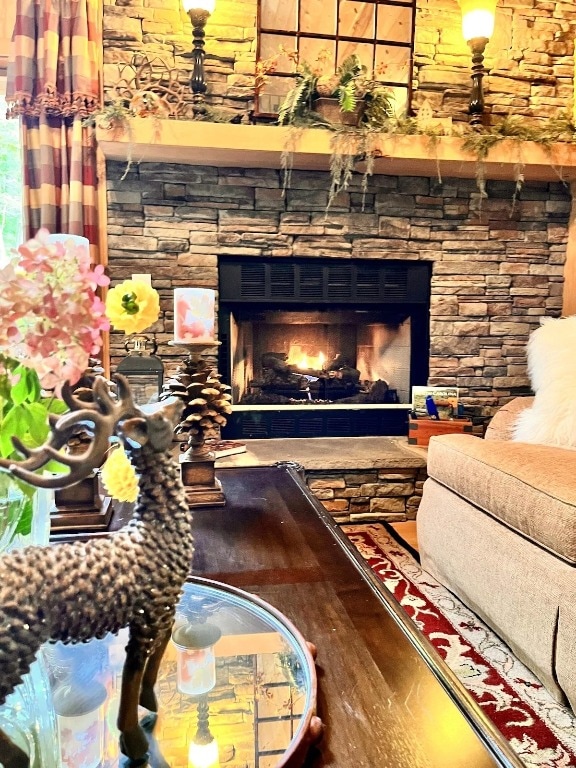 room details with a fireplace and wood-type flooring