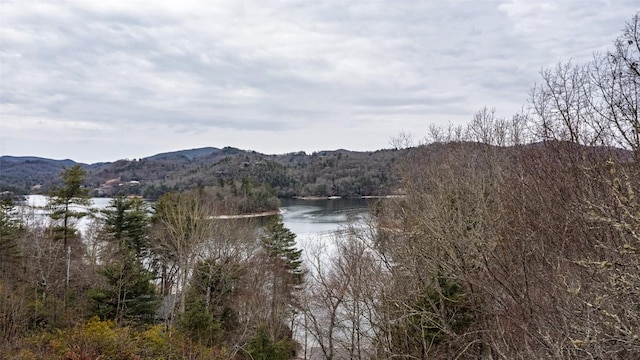 Listing photo 2 for LOT3A Admirals Point Dr, Cashiers NC 28736