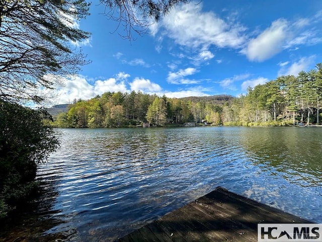 L83 N Club Blvd, Lake Toxaway, NC 28747