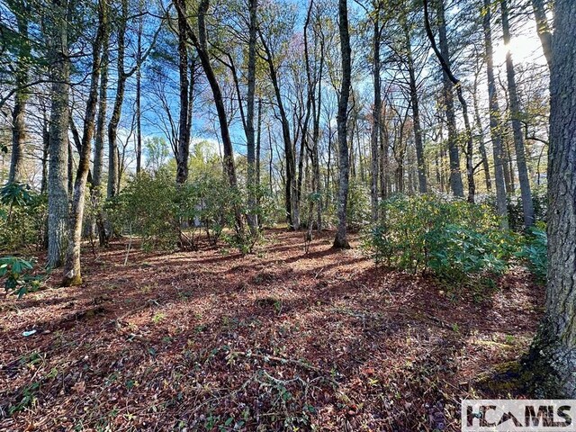 L83 N Club Blvd, Lake Toxaway, NC 28747
