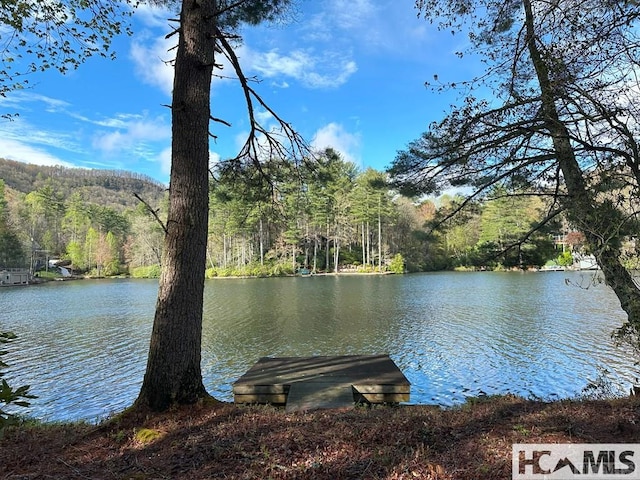L83 N Club Blvd, Lake Toxaway, NC 28747