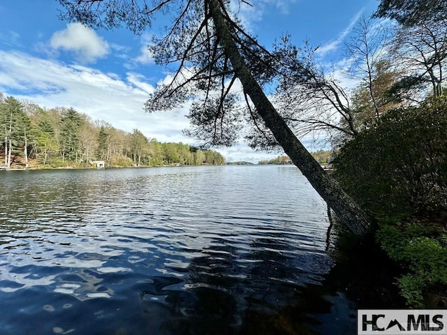L83 N Club Blvd, Lake Toxaway, NC 28747