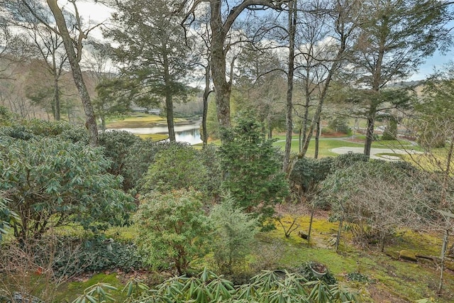 view of landscape featuring a water view