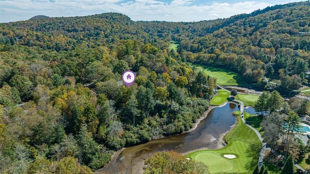 bird's eye view featuring a view of trees and a water view