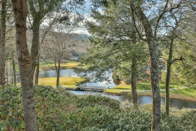 view of water feature