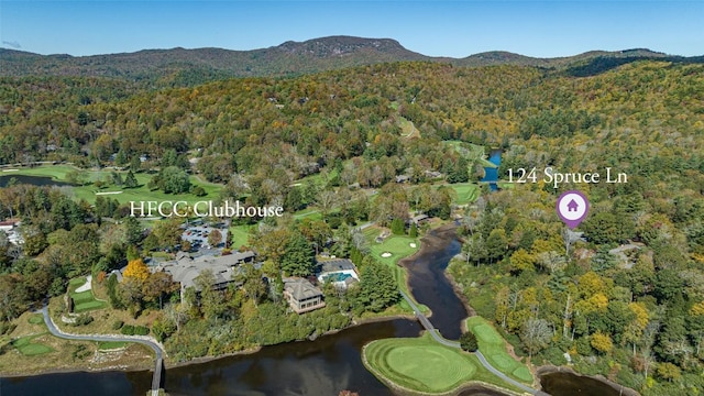 aerial view featuring a forest view and a water and mountain view