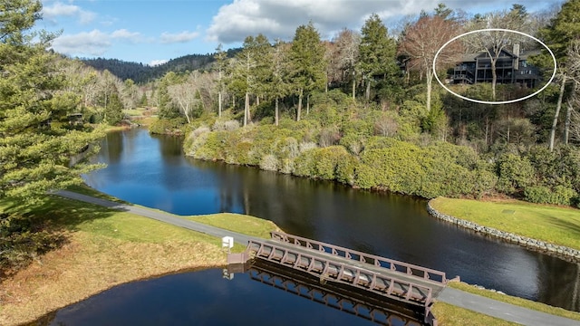 aerial view with a forest view and a water view