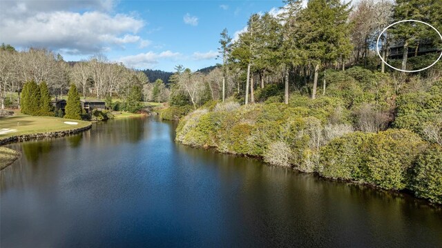 property view of water with a wooded view