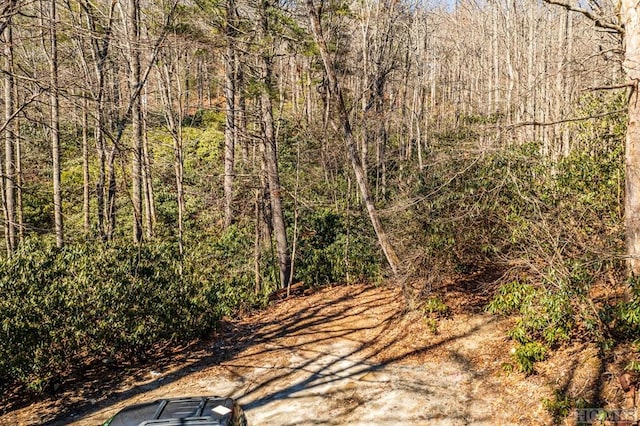 Listing photo 3 for LOT3 Dillard Rd, Highlands NC 28741