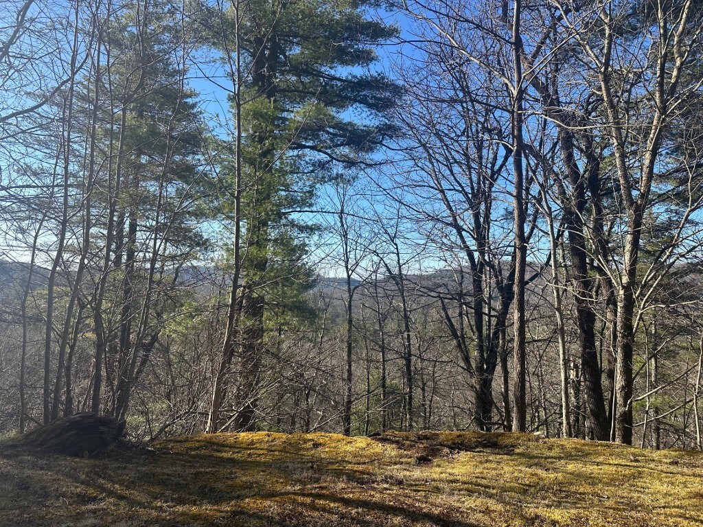 TBD Cotswold Way, Highlands, NC 28741