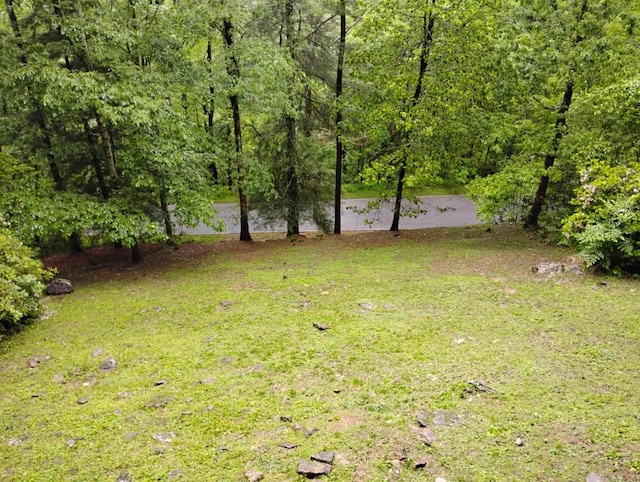 172 Moon Ridge Dr, Sky Valley, GA 30537 - view of yard