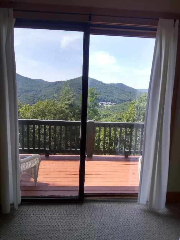 172 Moon Ridge Dr, Sky Valley, GA 30537 - entryway featuring a mountain view and carpet floors